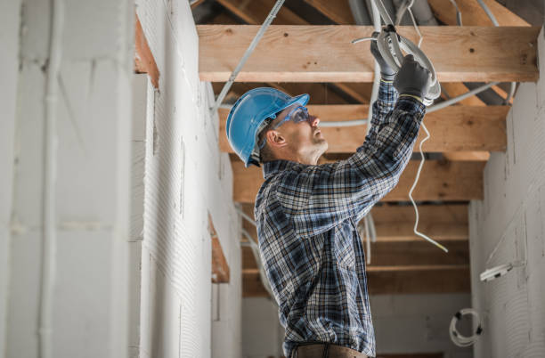 Best Electrical Rewiring Services  in Franklin Grove, IL