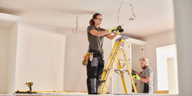 Best Electrical Rewiring Services  in Franklin Grove, IL
