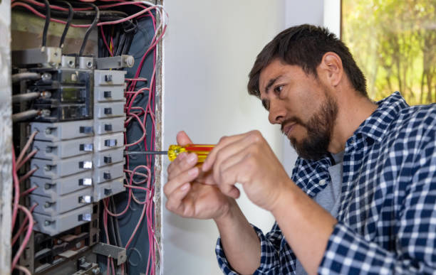 Best Electric Panel Repair  in Franklin Grove, IL